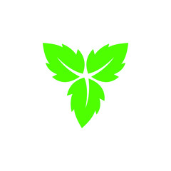 Fototapeta na wymiar Logos of green Tree leaf ecology