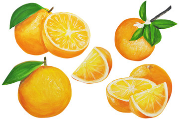  oranges set. Fruits are drawn by hand, in gouache, in the style of oil painting. isolated on a white background. can be used for textiles, stationery, corporate identity, wallpaper.
