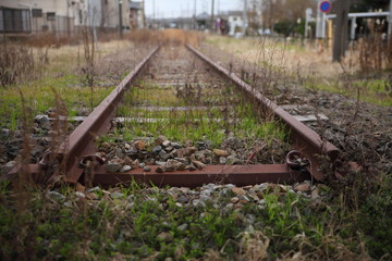 廃線跡に残されたレール