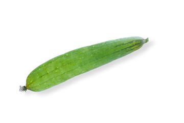 Luffa cylindrica on a white background.