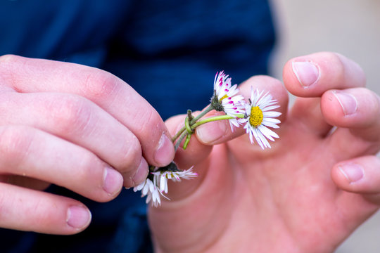 Kinderh&auml;nde knoten mit G&auml;nsebl&uuml;mchen ein Muttertagsgeschenk oder Ostergeschenk aus bl&uuml;henden Blumen im Fr&uuml;hling