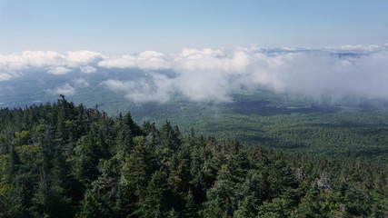Fototapeta premium A scenic view of the Green Mountains from the Long Trail in Vermont.