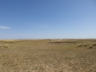 Fototapeta premium Mongolia Field Plains Sky Nature Scenery