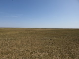 Obraz premium Mongolia Field Plains Sky Nature Scenery