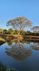 The Beauty of Reflection Thailand