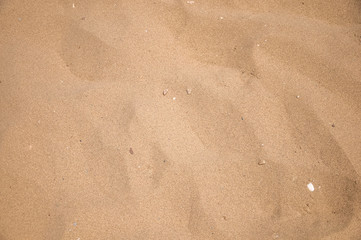 Fototapeta na wymiar sand on the beach. fine sand.