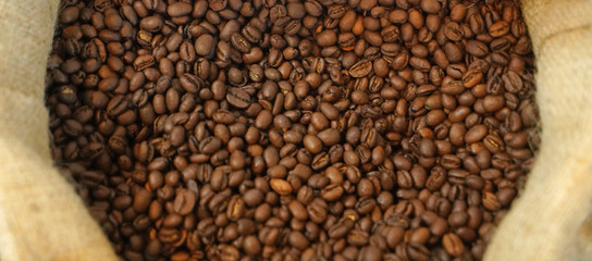 Coffee Bean Background
