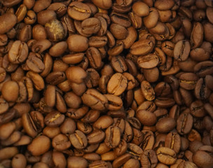 Beautiful background with coffee beans
