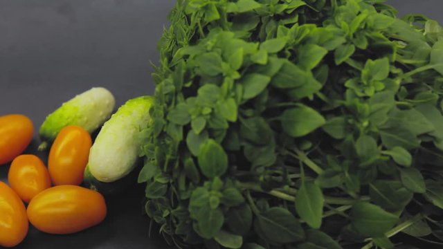 A man puts on the table basil, cherry tomatoes, mini cucumbers, vegetarianism. Beautiful vegetables prepared for slicing a salad. Close-up