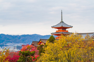 Kiyomizu-dera temple in autumn