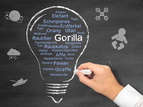 Gorilla