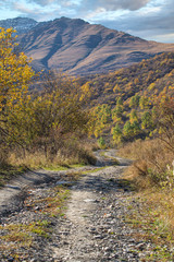 snowy mountains of the Caucasus.