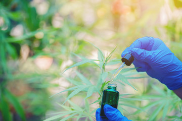 Hand holding a bottle of CBD oil drops on a flower background. Cannabis Marijuana Cannabis - Medical Cannabis Concepts