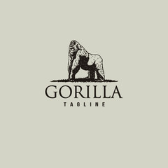 Gorilla vintage logo with hand drawn line art vector illustration