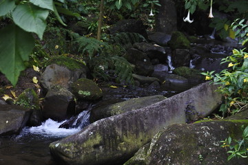 flow of water that passes through rocks and rivers