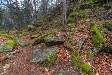Ice holes in Eppan an der Weinstrasse in South Tyrol in Italy.
