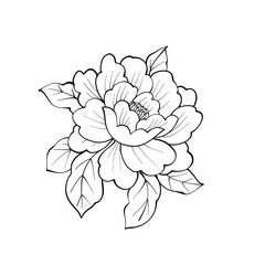 Peony flower with leafs. Coloring book page. Black and white