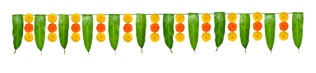 Indian flower garland of mango leaves and marigold flowers. Ugadi diwali ganesha festival poojas weddings functions holiday ornate decoration. Isolated on white background natural mango leaf garland