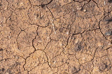 Surface of dry drought soil and ground cracked top view background.