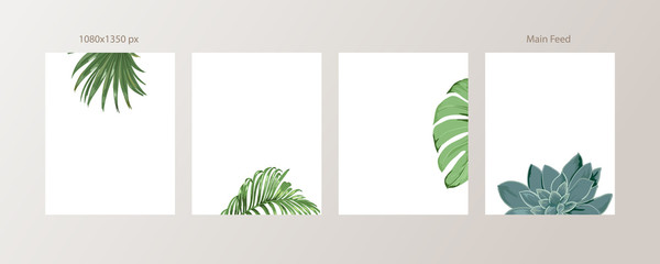 Green and Tropical cover design template, Social media stories and Main Feed Background  with green tropical leaf geometric shapes and minimal style decoration. Vector illustration.