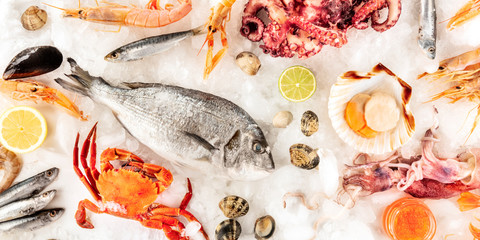Fish and seafood, a flatlay panoramic shot. Sea bream, shrimps, crab, sardines, mussels and clams, octopus and scallops, shot from above on a white background