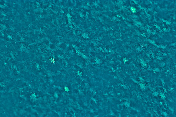 Azure texture of toned freshly fallen snow. Christmas template for design. Clearly visible individual snowflakes. Winter background.