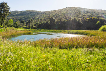 Fototapeta na wymiar Lake at the dam of Rapentosa in Attica, Greece