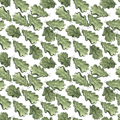 Watercolor hand drawn sketched collection of oak leaves isolated on white. Vintage style botanical illustration. DIY rustic set, floral wedding decorations