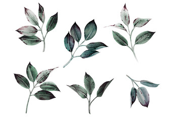 Leaves, watercolor, can be used as greeting card, invitation card for wedding, birthday and other holiday and  summer background