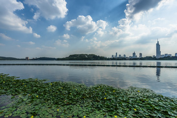 nanjing skyline and lotus , modern city with lake