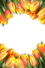 Happy holiday greeting card concept. Isolated white background. Flowers are located on the side. Place for text