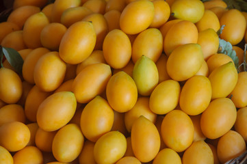 Ripe Bright Orange Sweet Marian Plum pile or Plum Mango pile background.