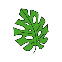 Tropical green leaf of monstera on white background isolated with editable stroke. Vector illustration in modern style flat style exotic palm branch.