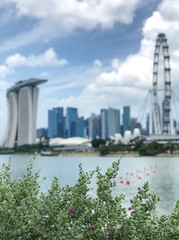 View of Marina Bay from Gardens by the Bay, Singapore