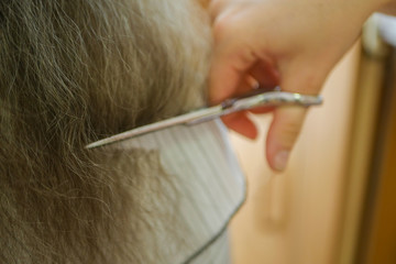 The hairdresser cuts the ends of the hair close up. Hairdresser haircut