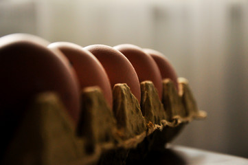 Chicken eggs in carton box as background, space for text