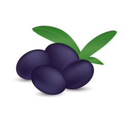 Vector illustration of black olives with green leaves on a white background. Design element for print and web.