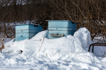 Naklejka premium two blue bee hives covered in snow in a winter forest