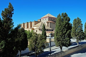 Fototapeta na wymiar View of Santa Maria Church (Iglesia Colegial de Santa Maria),, Osuna, Spain.