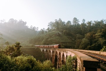 broun train on Nine arch bridge