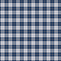 Tartan plaid pattern vector background.