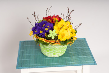 Primroses on a white stepladder as easter decoration