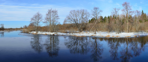 Panorama with a mirror reflection of the forest in the river