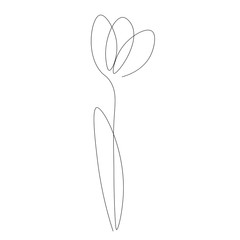 Flower one line drawing design, vector illustration