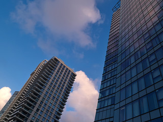 Obraz premium Modern skyscraper in low angle view