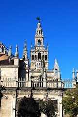 Fototapeta na wymiar View of Saint Mary of the See Cathedral (Catedral de Santa Maria de la Sede) and La Giralda Tower, Seville, pain.