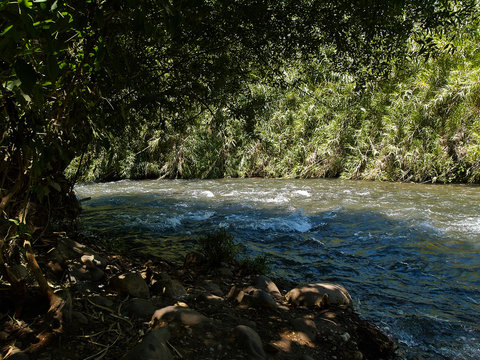 Jordan River Baptism Area Holy Land Israel