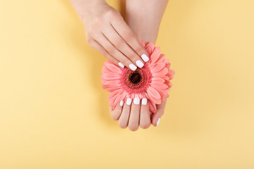 woman hands with manicure and wedding ring among white lace and little flowers