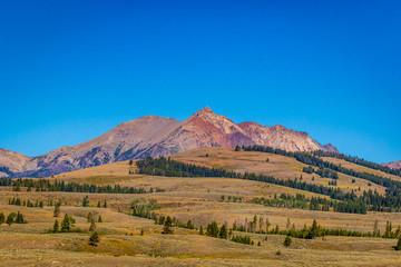 Electric Peak in Gallatin Range