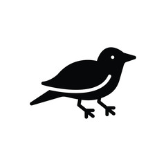 Black solid icon for bird 